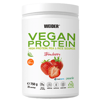 Vegan Protein