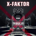 Premium Tribulus