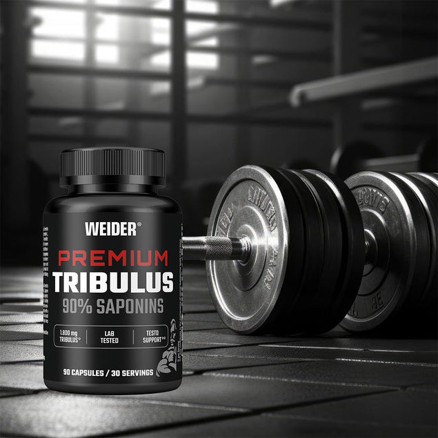 Premium Tribulus